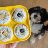 🐾 The Pupsicle - "The Dog Treat That Never Runs Out!"
