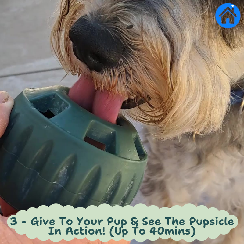🐾 The Pupsicle - "The Dog Treat That Never Runs Out!"