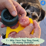🐾 The Pupsicle - "The Dog Treat That Never Runs Out!"