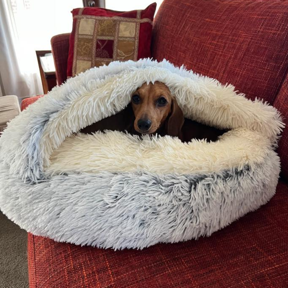 🐾 The SNUGGLES Cove - The ONLY REINFORCED Hood Pet Bed!