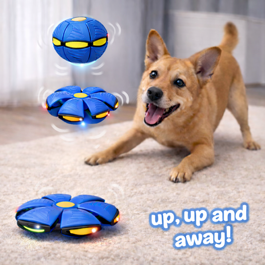 WooF - Interactive Self Popping Toy Ball!