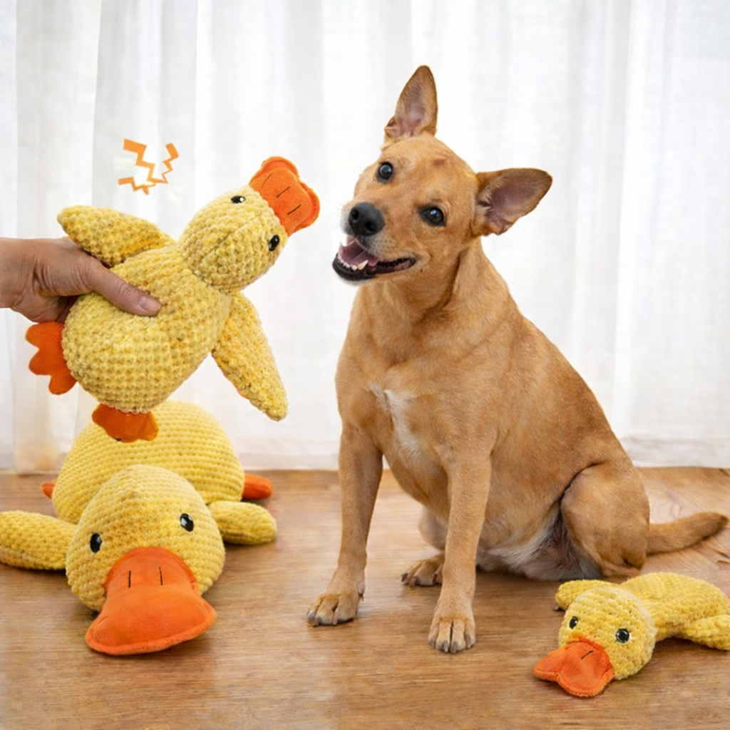 Mr Quack - The World's Best Calming Dog Toy!