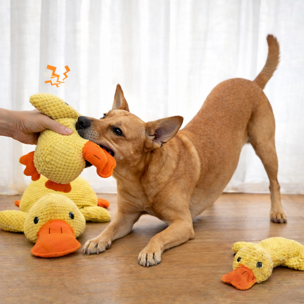 Mr Quack - The World's Best Calming Dog Toy!
