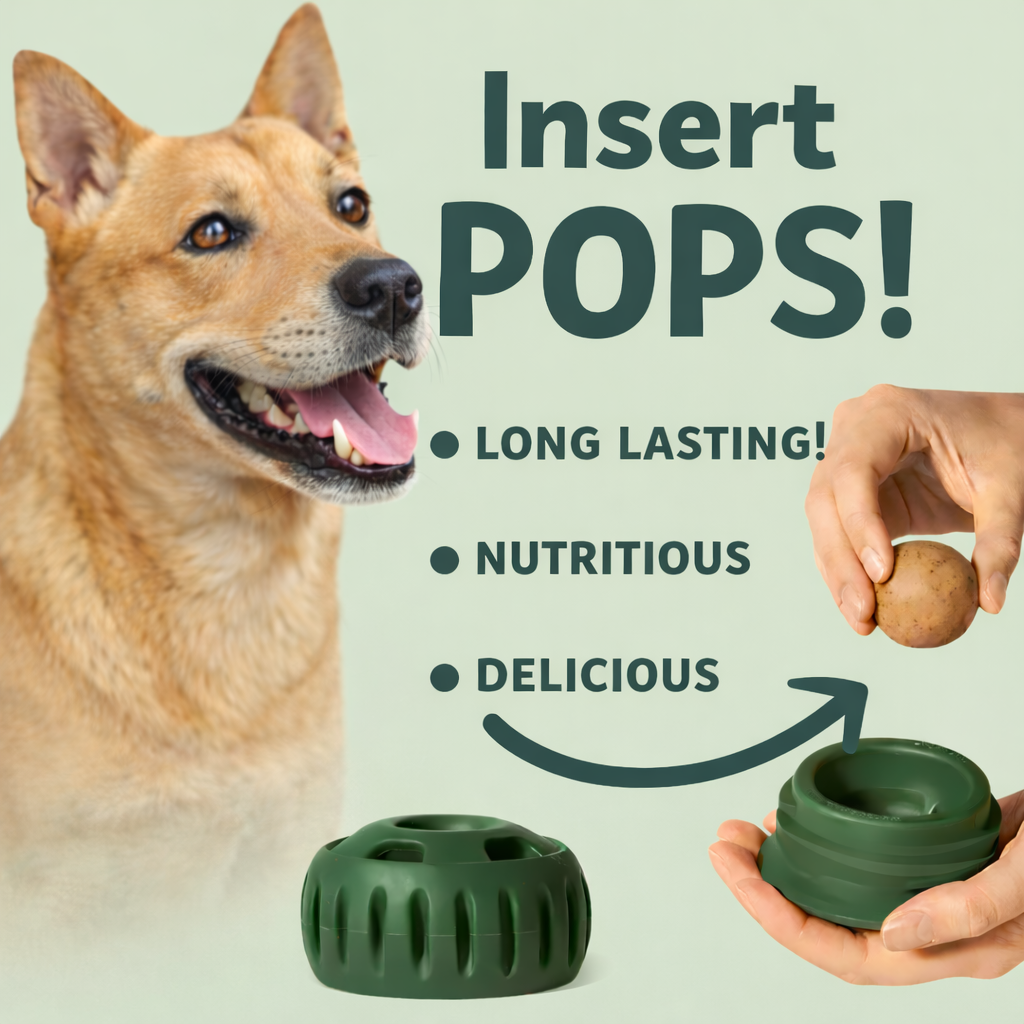 🐾 The PUPSICLE - Australia’s "#1 Summer Solution for Dogs!"