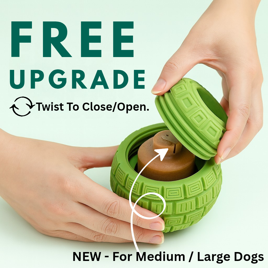 🐾 The PUPSICLE - Australia’s #1 Summer Solution for Dogs!"