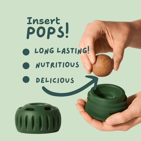 🐾 The Pupsicle - "The Dog Treat That Never Runs Out!"