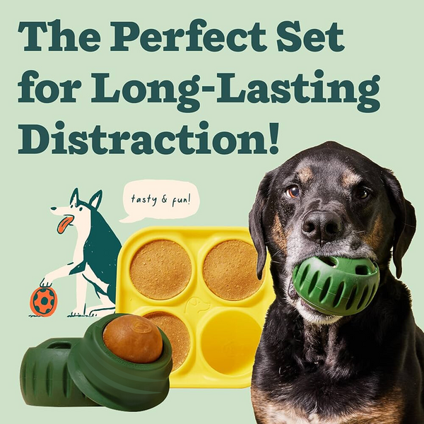 🐾 The Pupsicle - "The Dog Treat That Never Runs Out!"