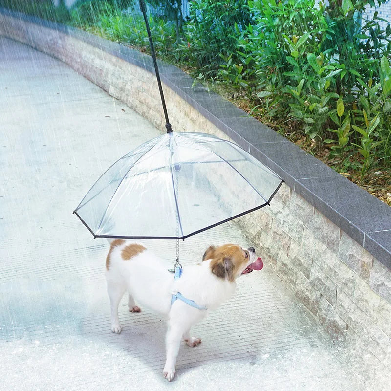 WooF The DOG Umbrella Bundle U.N.I.Q.U.E Inc AUSTRALIA