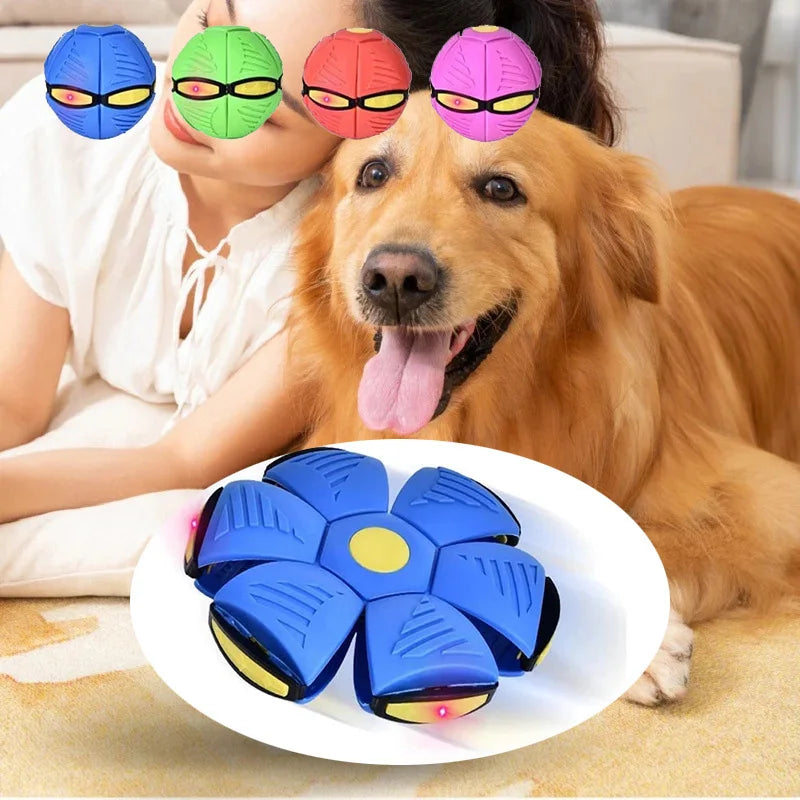 WooF - Interactive Self Popping Toy Ball!