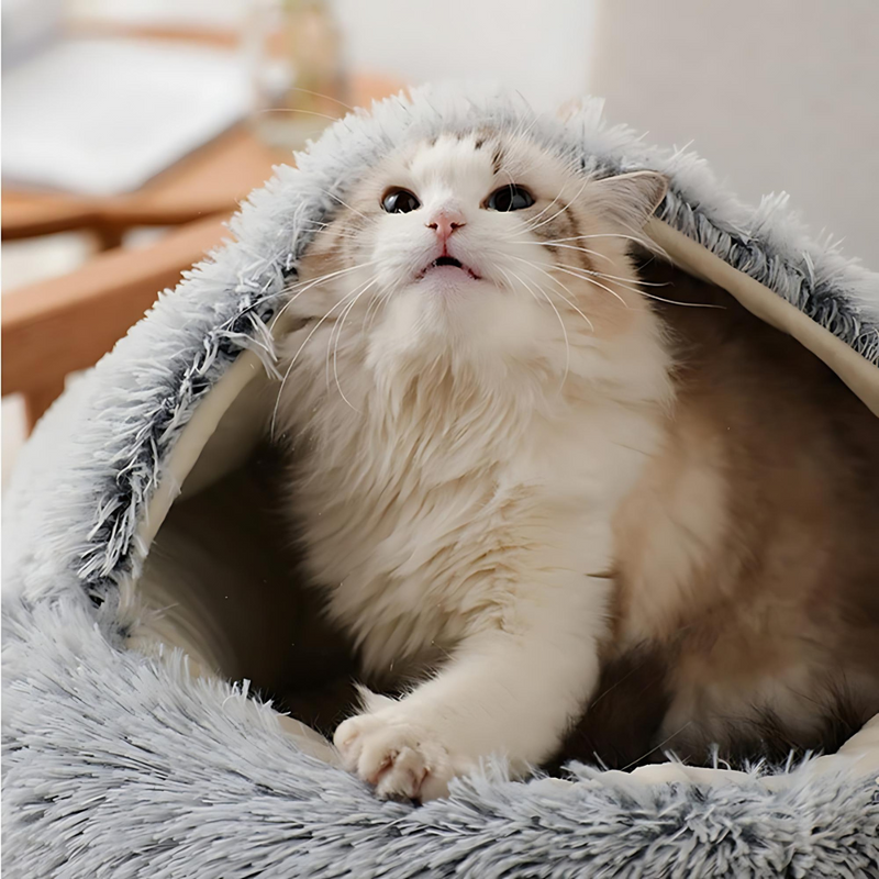 🐾 The SNUGGLES Cove – The Ultimate 2-in-1 Pet Bed for a Warmer, Calmer Winter!