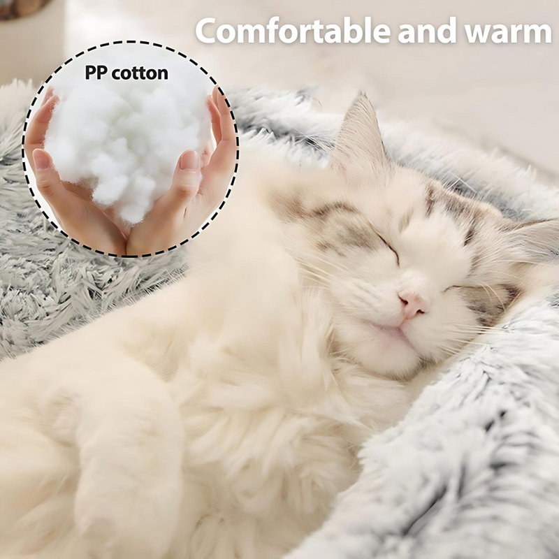 🐾 The SNUGGLES Cove – The Ultimate 2-in-1 Pet Bed for a Warmer, Calmer Winter!