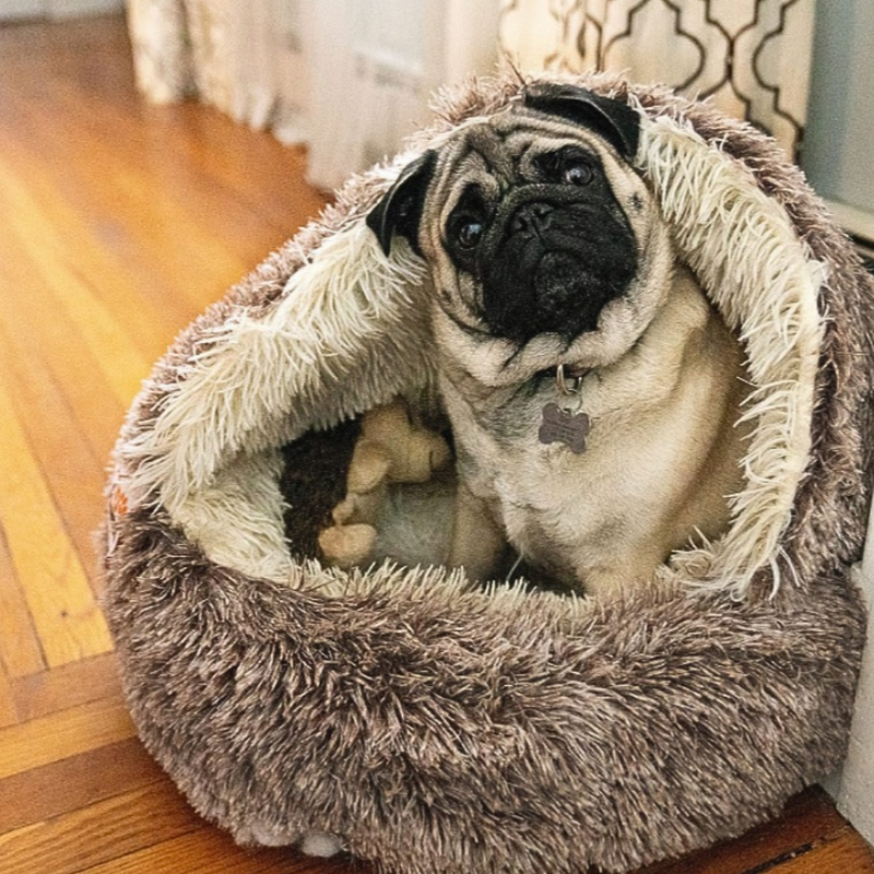 🐾 The SNUGGLES Cove – The Ultimate 2-in-1 Pet Bed for a Warmer, Calmer Winter!