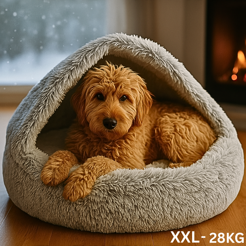 🐾 The SNUGGLES Cove – The Ultimate 2-in-1 Pet Bed for a Warmer, Calmer Winter!