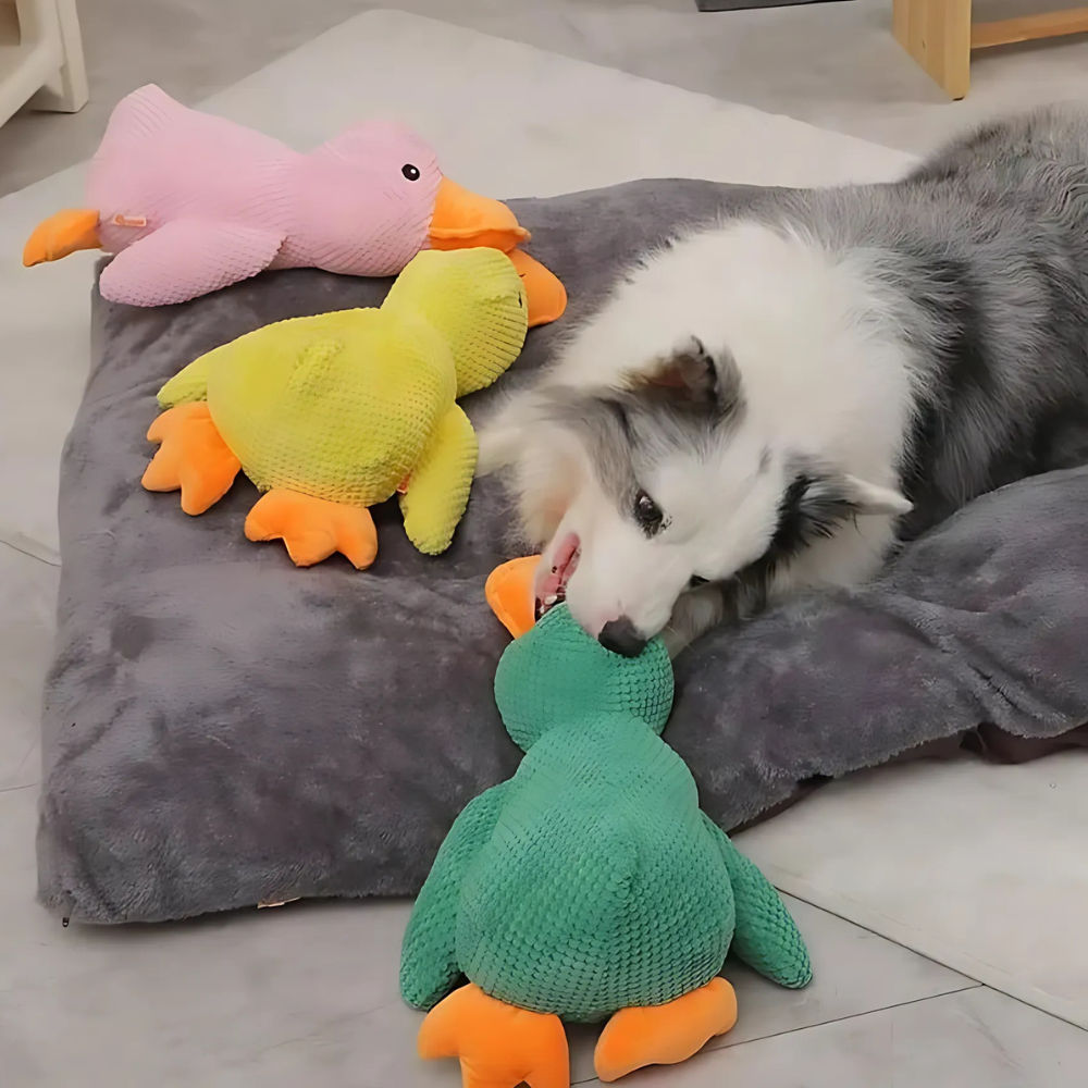 Mr Quack - The World's Best Calming Dog Toy!