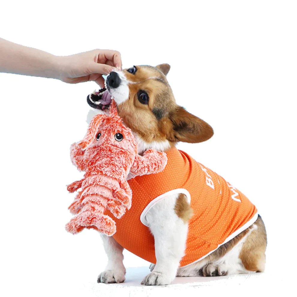WooF - (USB) Wiggling Lobster Dog Chew Toy