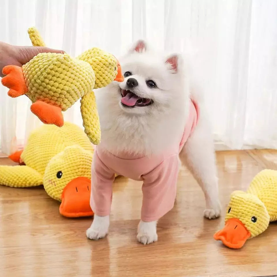 Mr Quack - The World's Best Calming Dog Toy!