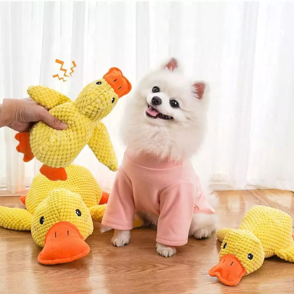Mr Quack - The World's Best Calming Dog Toy!