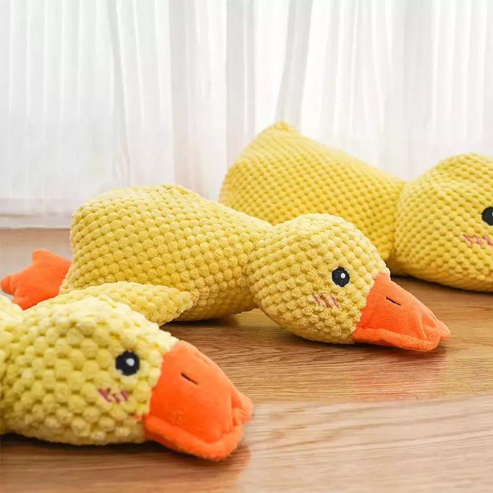 Mr Quack - The World's Best Calming Dog Toy!