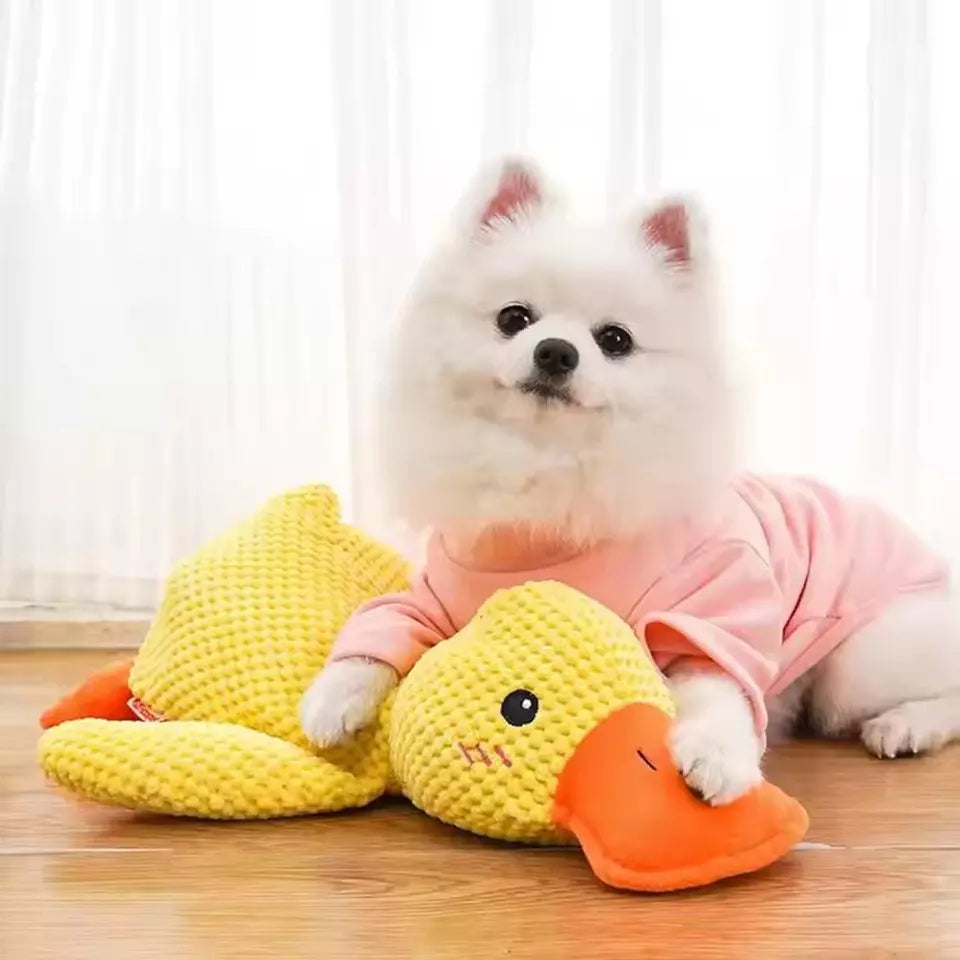 Mr Quack - The World's Best Calming Dog Toy!
